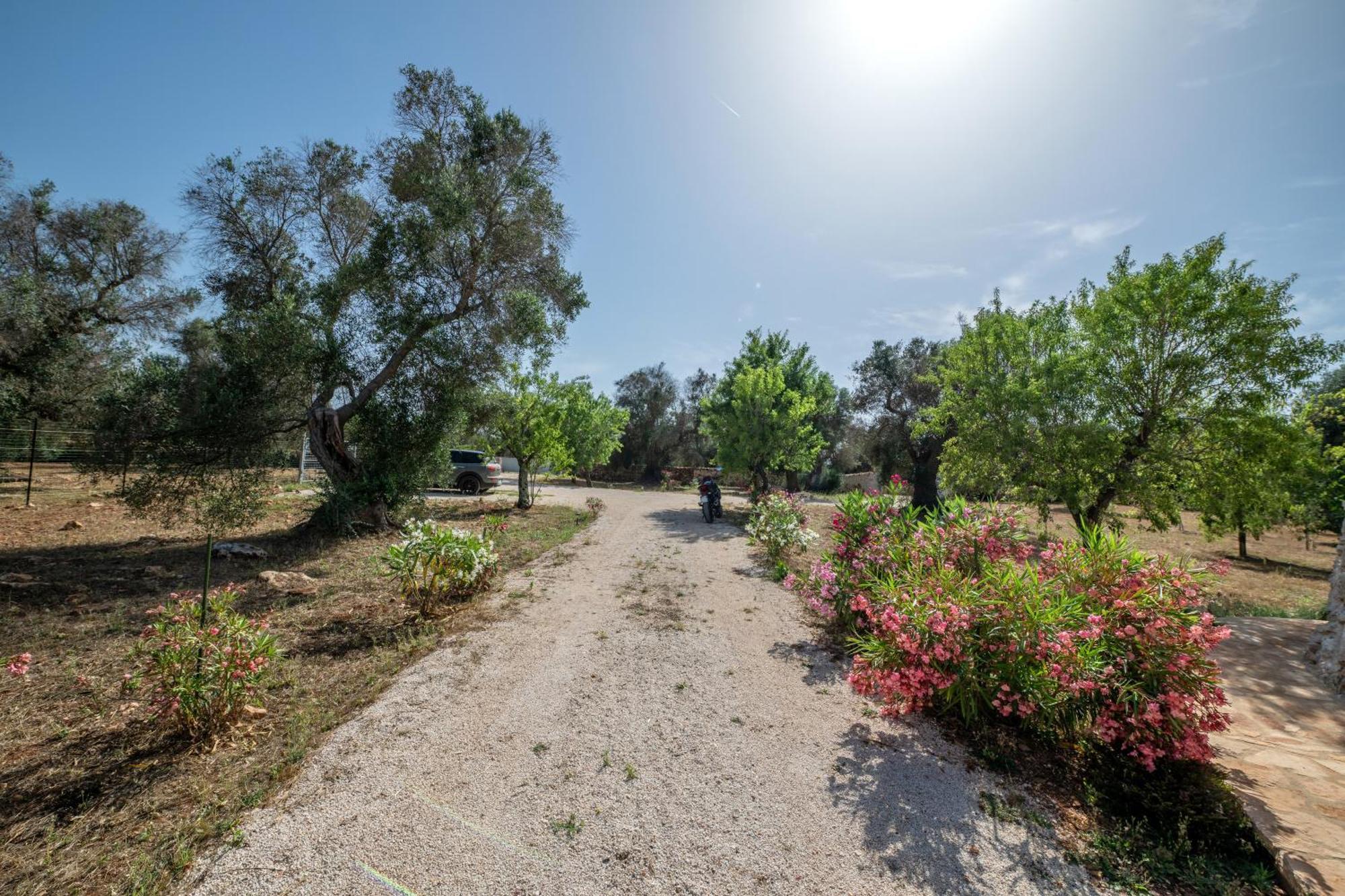 הוילה צ'לייה מספיקה Il Trullo Di Mariangela מראה חיצוני תמונה